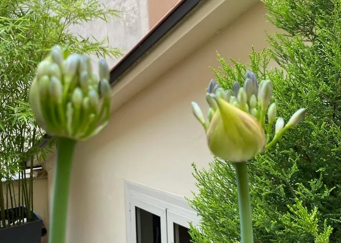 Termini Cozy Corner Wi-fi Ac Free Apartamento