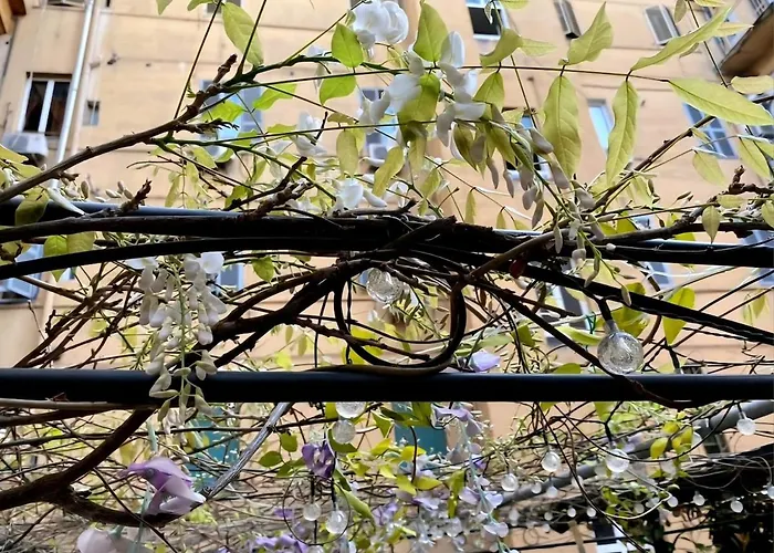 Termini Cozy Corner Wi-fi Ac Free Apartment *
